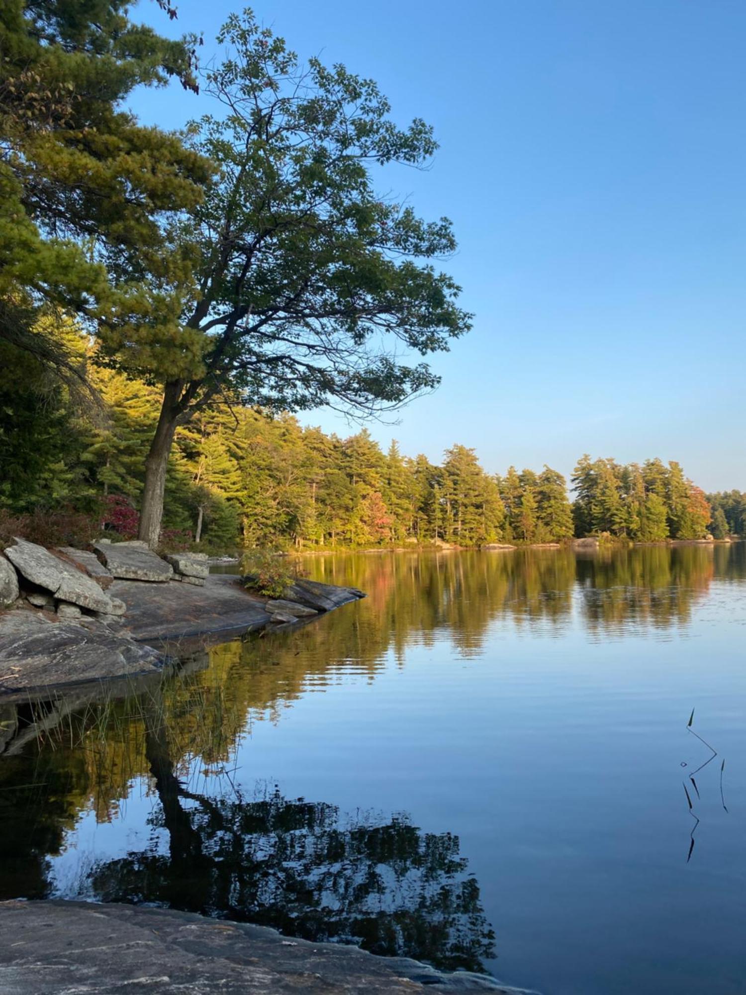 Blue Spruce Bed And Breakfast Muskoka 그라벤허스트 외부 사진