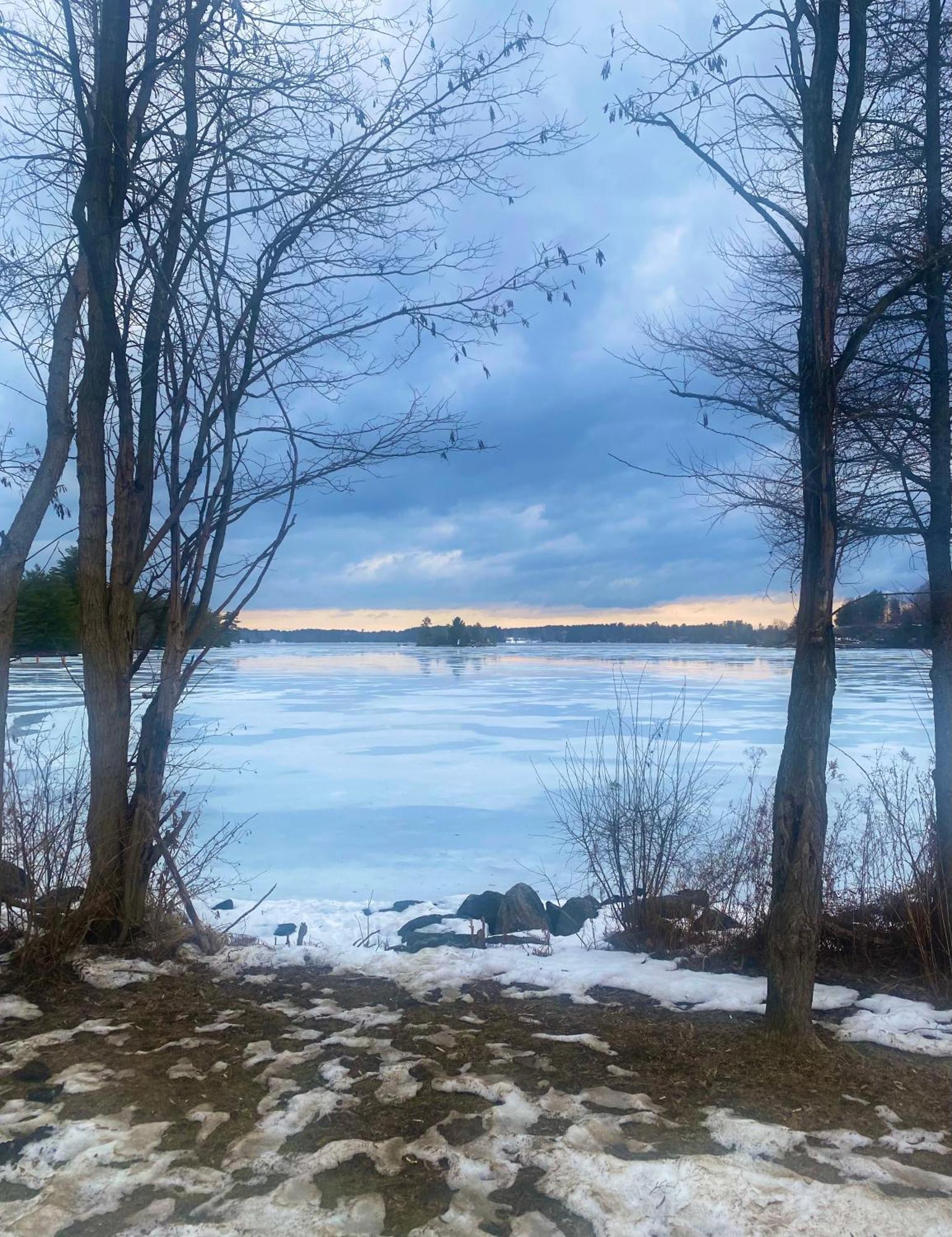 Blue Spruce Bed And Breakfast Muskoka 그라벤허스트 외부 사진