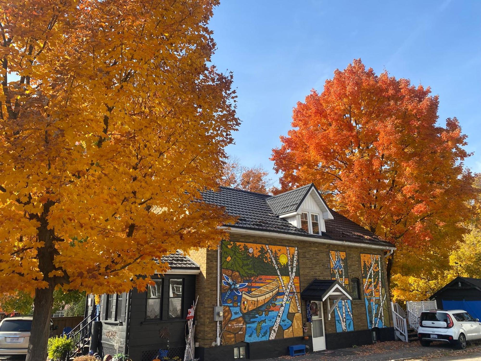 Blue Spruce Bed And Breakfast Muskoka 그라벤허스트 외부 사진